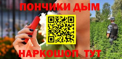 крисы Гатчина