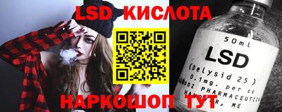 крисы Гатчина