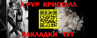 крисы Гатчина