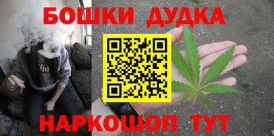 крисы Гатчина