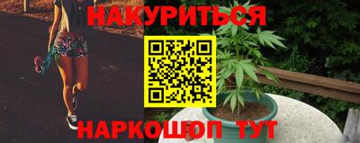 молекула духа Гай