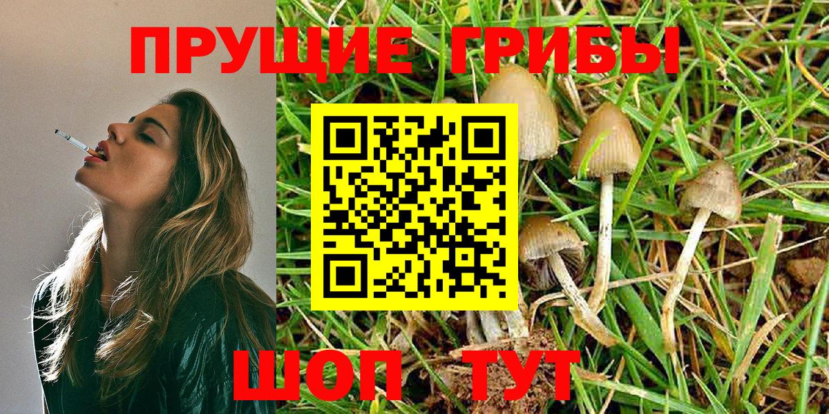 Галлюциногенные грибы Cubensis Димитровград