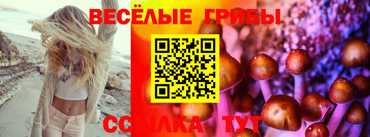 Галлюциногенные грибы GOLDEN TEACHER  сколько стоит  Димитровград  Вход с VPN 